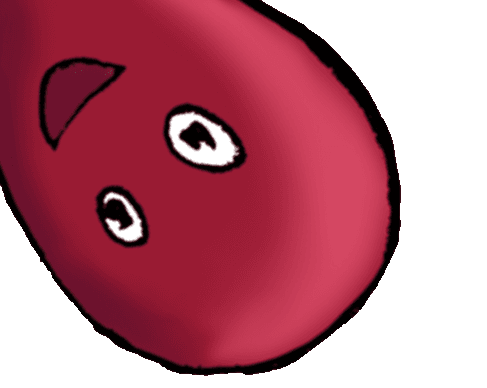 Kopf der Krake